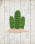 Picture of CACTUS 2