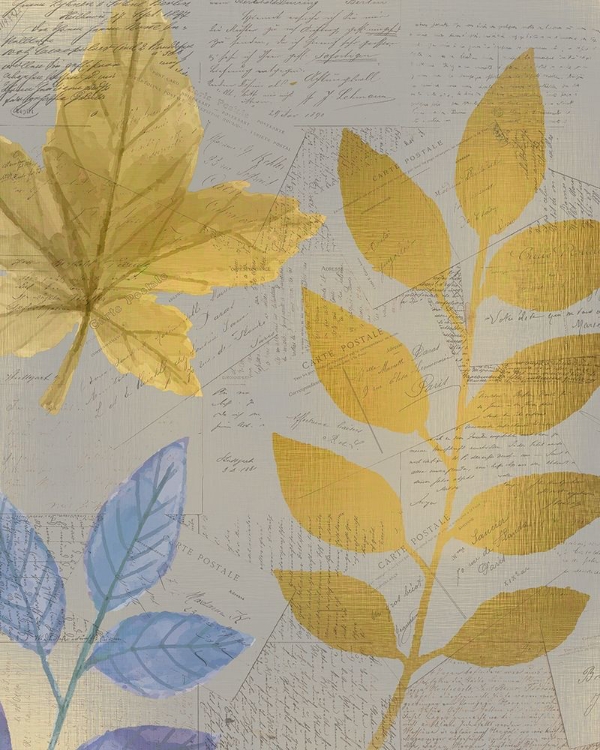 Picture of AUTUMN GOLD 1