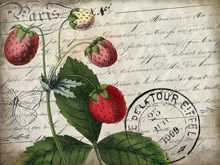 Picture of VINTAGE STRAWBERRY