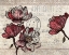 Picture of MAGNOLIA SERIES 2