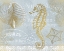 Picture of AZURE COASTAL CALM SERIES 1