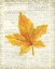 Picture of IN THE FALL 1 