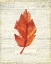 Picture of IN THE FALL 2 