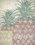 Picture of TRI COLOR PINEAPPLES 2