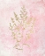 Picture of BOTANICAL PINK 1