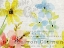 Picture of SPRING BLOOMS 2