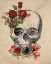 Picture of SKULL ROSES