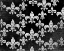Picture of BLACK AND WHITE FLEUR