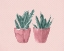 Picture of TWO PINK