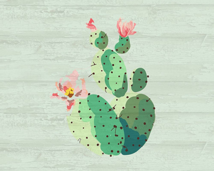 Picture of CACTI 1