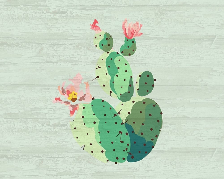 Picture of CACTI 1