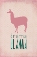 Picture of DRAMA LLAMA