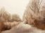 Picture of TAUPE SUNSET