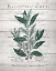 Picture of BOTANICAL A V2