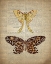 Picture of NEWSPAPER BUTTERFLY 1