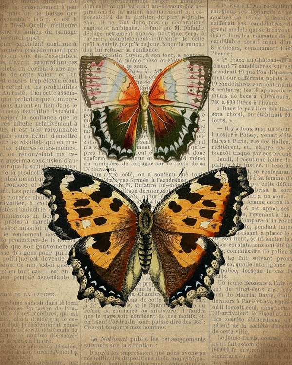 Picture of NEWSPAPER BUTTERFLY 3