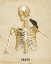 Picture of DEATH