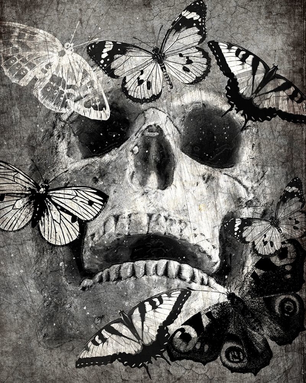 Picture of BUTTERFLY SKULL