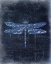 Picture of DRAGONFLY BLUE 3