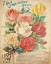 Picture of EVERBLOOMING ROSES