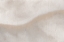 Picture of WAVE