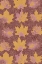 Picture of PATTERN OF LEAVES