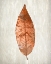 Picture of COPPER LEAVES 1