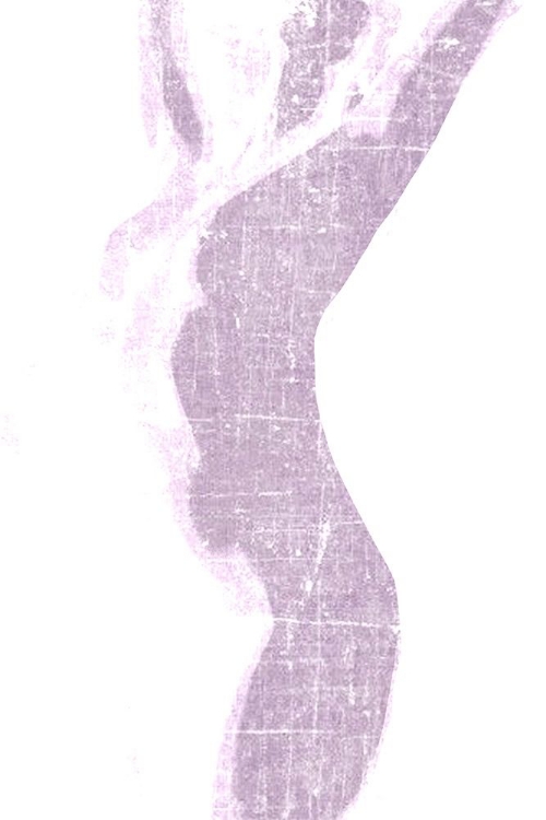 Picture of VIOLET SILHOUETTE 2