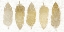 Picture of FEATHERED PANEL A
