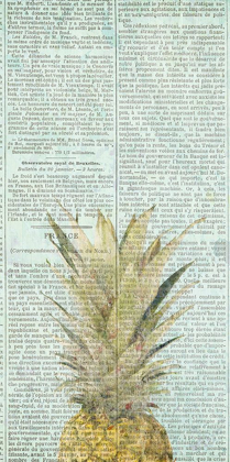 Picture of NEWSPAPER PINEAPPLE
