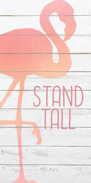 Picture of STAND TALL 1
