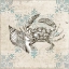 Picture of SEA LIFE C