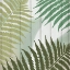 Picture of TROPICS 1