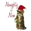 Picture of CAT CHRISTMAS 3