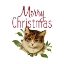 Picture of CAT CHRISTMAS 4