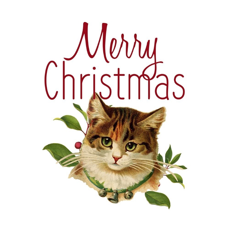 Picture of CAT CHRISTMAS 4