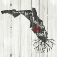 Picture of FL ROOTS