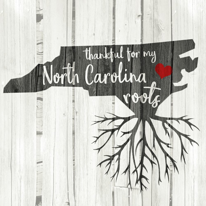 Picture of NC ROOTS