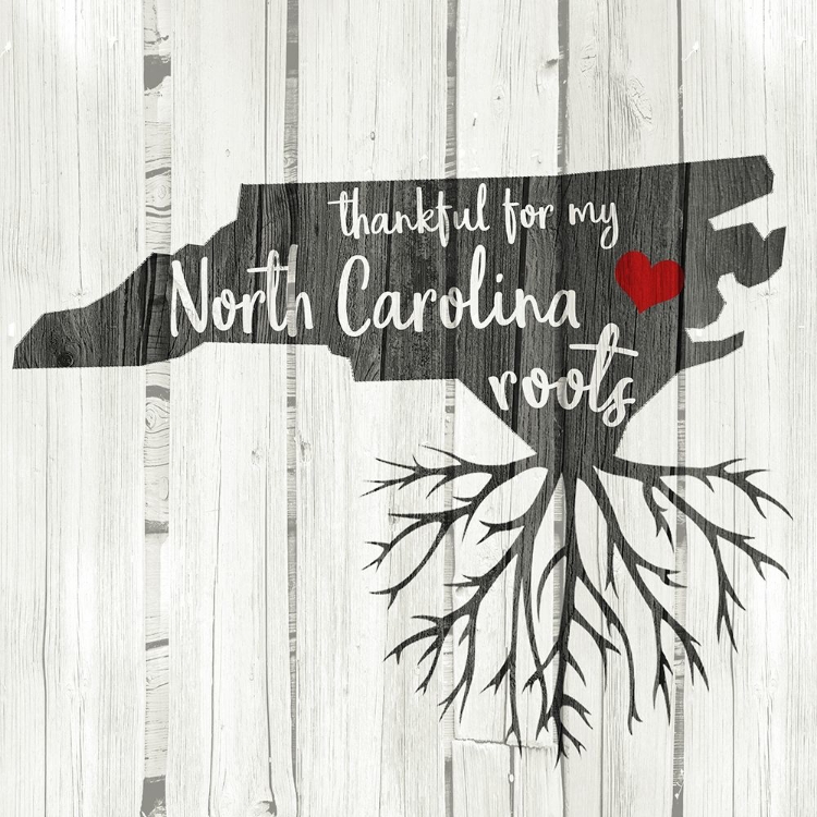 Picture of NC ROOTS