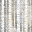 Picture of IN THE BIRCHES