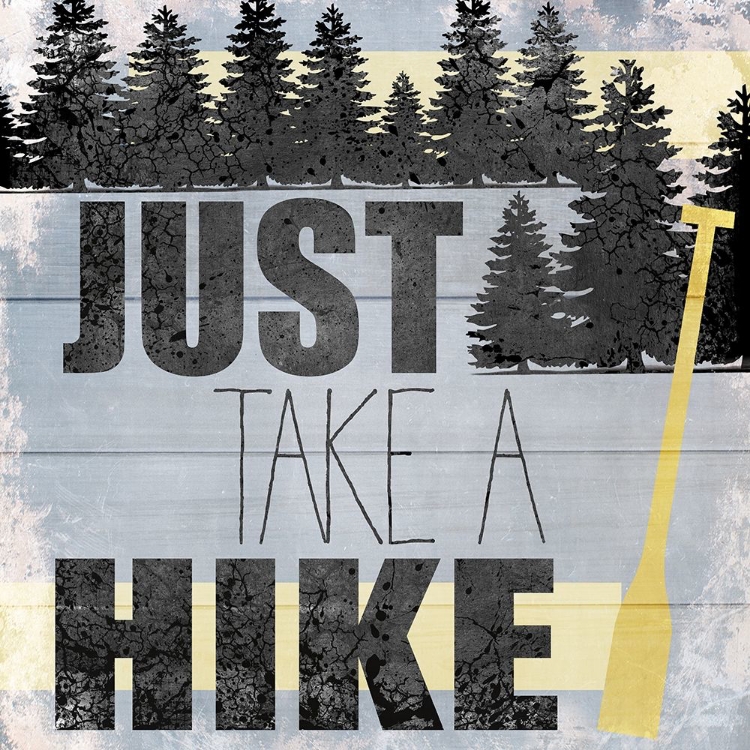 Picture of JUST TAKE A HIKE
