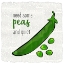 Picture of JUST VEGGIE 5