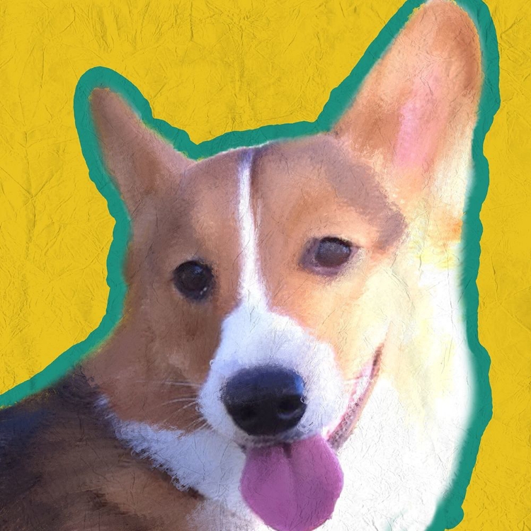 Picture of CORGI 1