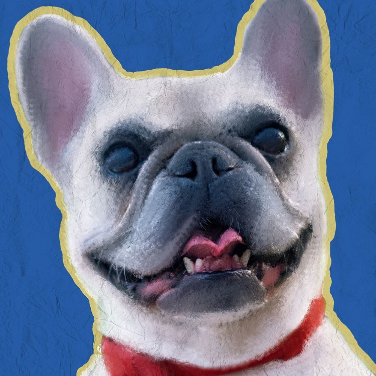 Picture of FRENCH BULLDOG 1