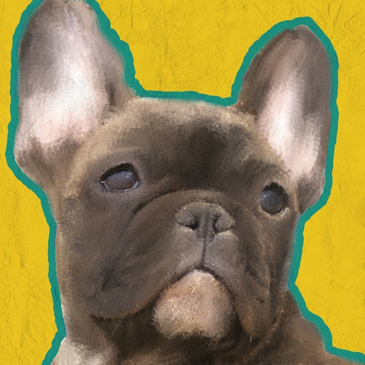 Picture of FRENCH BULLDOG 2