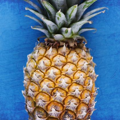 Picture of PINEAPPLE BLUE 2