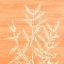 Picture of BOTANICAL BRIGHT 4