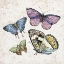 Picture of BUTTERFLY FLIGHT 1