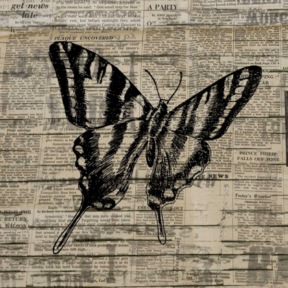 Picture of BUTTERFLY ON PRINT 2