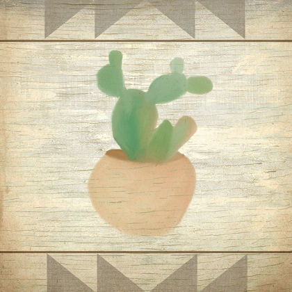 Picture of CACTUS 1